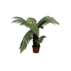 Baumfarn Dicksonia Antarctica 180 cm XXL – Tropische XXL-Pflanze mit üppigem, federartigen Blattwerk. Perfekt für Innen- und Außenbereiche.