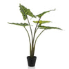 Kunstpflanze – Alocasia Frydek – 80 cm