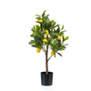 Kunstpflanze – Citrus Limonia – Zitronenbaum – 72 cm