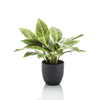 Kunstpflanze – Croton Codiaeum – Wunderstrauch – 38 cm