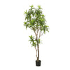 Kunstpflanze – Dracaena – Drachenbaum – 190 cm