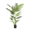 Kunstpflanze – Howea Forsteriana – Kentia-Palme – 160 cm