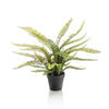 Kunstpflanze – Nephrolepis Exaltata – Boston-Farn – 55 cm
