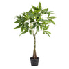 Kunstpflanze – Pachira Aquatica – Geldbaum – 90 cm