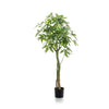 Kunstpflanze – Pachira Aquatica – Glückskastanie – 150 cm
