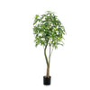 Kunstpflanze – Pachira Aquatica – Glückskastanie – 180 cm