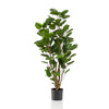 Kunstpflanze – Polyscias – Aralie – 105 cm