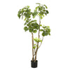 Kunstpflanze – Polyscias – Aralie – 135 cm