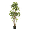 Kunstpflanze – Polyscias – Aralie – 160 cm