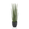 Kunstpflanze – Sansevieria Cylindrica – Frauenzunge – 70 cm