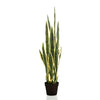 Kunstpflanze – Sansevieria Trifasciata – Frauenzunge – 97 cm