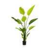 Kunstpflanze – Strelitzia Nicolai – Paradiesvogelblume – 150 cm
