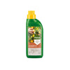 Pokon Mediterraner Pflanzendünger 500 ml – Spezialnahrung für Zitrus & Oliven